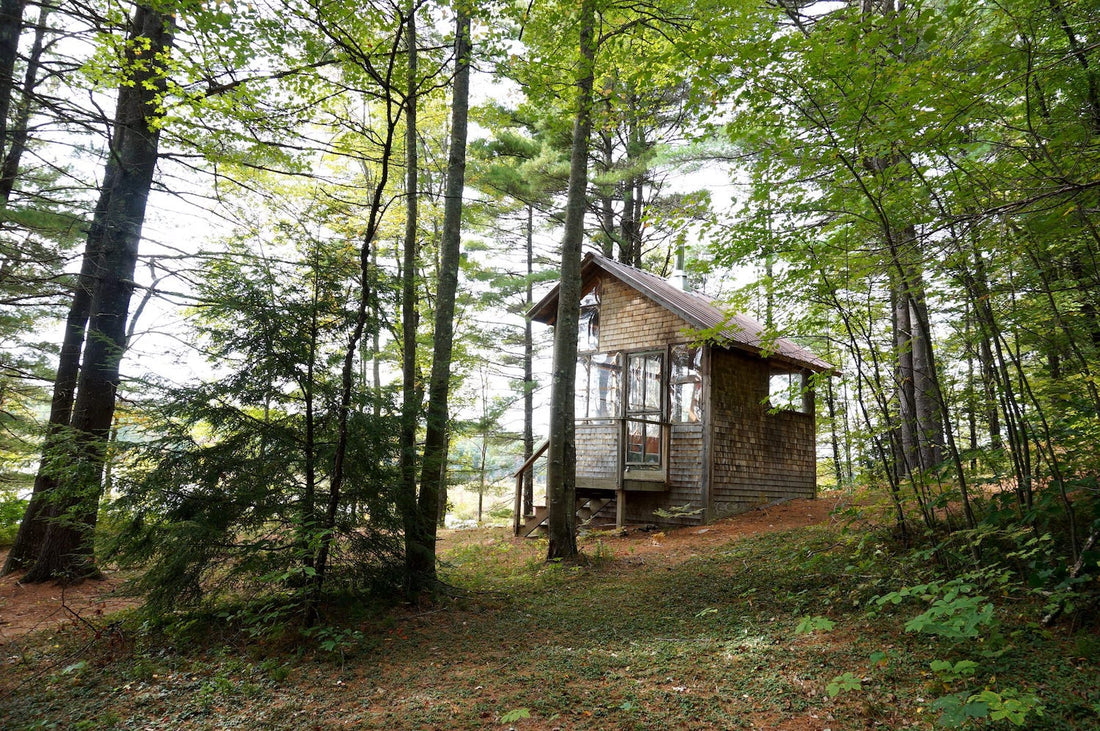 A Colony for Noisemakers